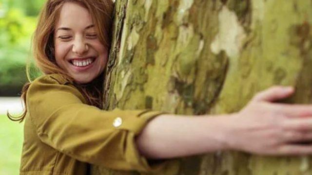 Bu kadarı ‘pes’ dedirtti! Ağaçlara karşı cinsel istek duyulmasını ifade eden bir hastalık: Dendrofili