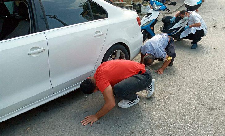 Sinop'ta sahibinin elindeki taşıma çantasından kaçan kediyi yakalama çabaları filmleri aratmadı G1