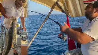 Yer: Antalya! 30 kiloluk kuzu balığı yakaladı