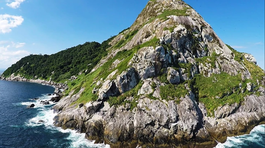 Dünyanın en tehlikeli adası! Brezilya’daki Queimada Grande Adası'na (Yılan Adası) kimse giremiyor 