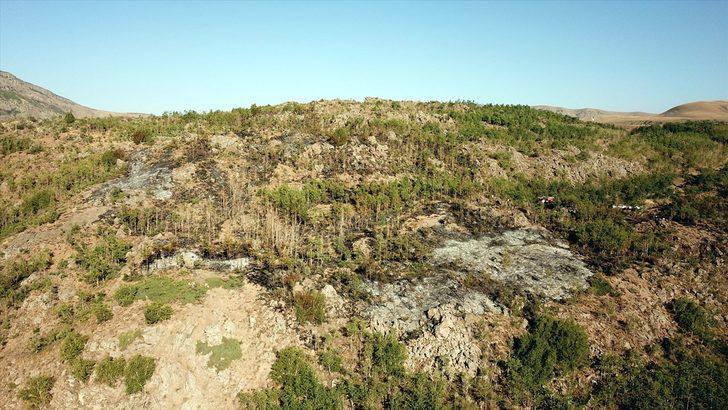 Nemrut Krater Gölü çevresinde çıkan örtü yangını kontrol altına alındı G2