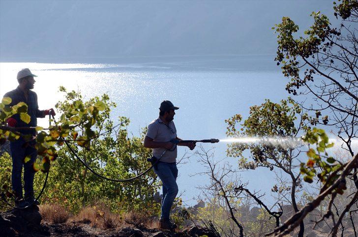 Nemrut Krater Gölü çevresinde çıkan örtü yangını kontrol altına alındı G4