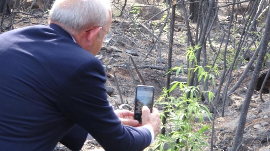 Yeşillenen ağacı gören Kılıçdaroğlu dayanamayıp fotoğraf çekti