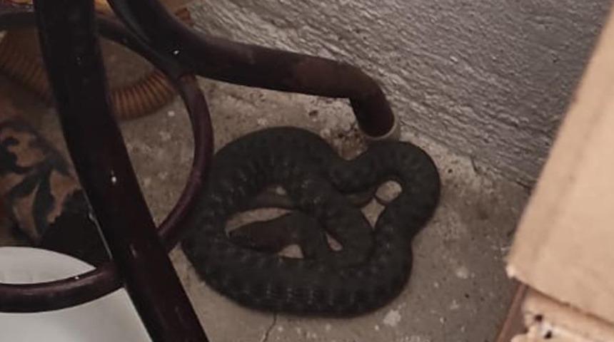 Mutfakta panik anları! İtfaiye ekipleri çağrıldı