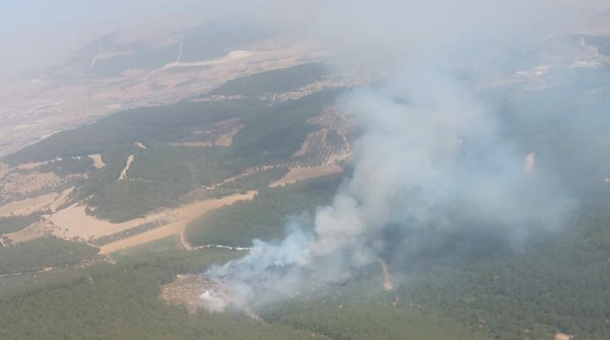 İzmir Foça'da orman yangını!