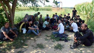 Yunanistan sınır kapılarını açtı söylentisi üzerine Afgan göçmenler Edirne'ye akın etti