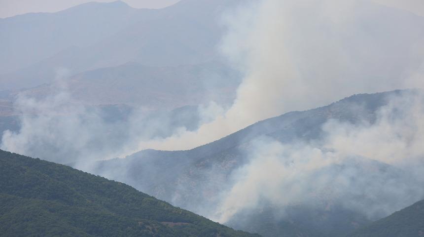 Tunceli'deki örtü yangınlarının ikisi söndürüldü