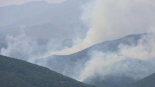 Tunceli'deki örtü yangınlarının ikisi söndürüldü