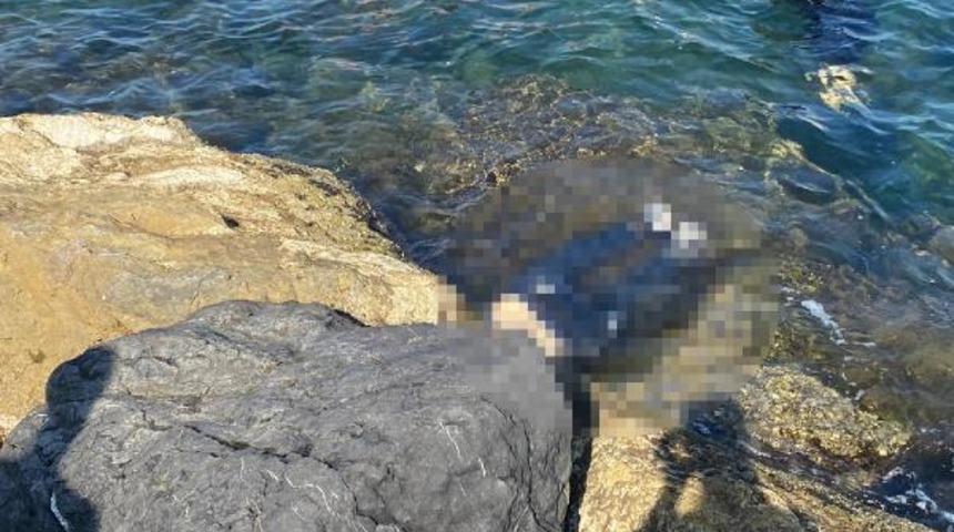 Kan donduran olay! Balıkçı barınağında bu halde bulundu