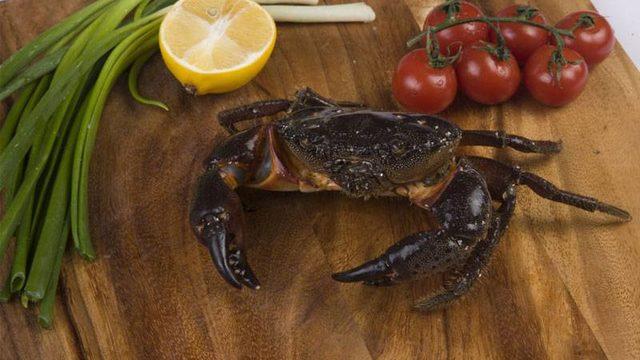 Midye, karides, yengeç, kalamar, ıstakoz yemek haram mı? Diyanet'ten açıklama!