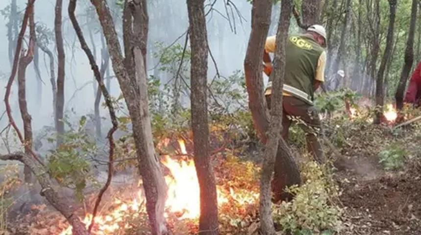 Orman Genel Müdürlüğü açıkladı: Yurt genelindeki orman yangınlarının 6'sı kontrol altında