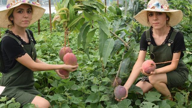 Kilosunu 35-40 TL'den satıyor! Üniversiteden mezun oldu, aile mesleğini yapmaya başladı