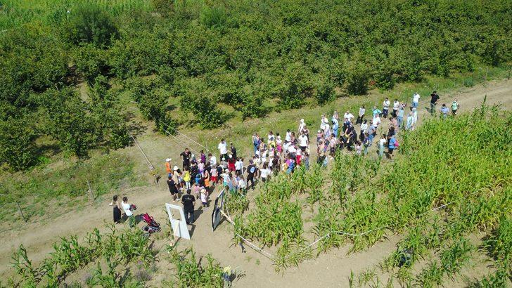 Türkiye'nin ilk 'mısır labirenti' yoğun ilgi gördü G1