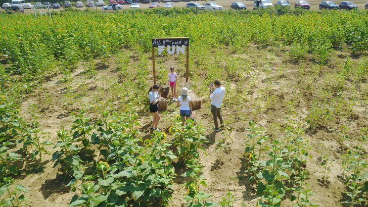 Türkiye'nin ilk 'mısır labirenti' yoğun ilgi gördü G4
