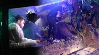 İstanbul'da genç Youtuber beğeni uğruna diri diri mezara girdi!