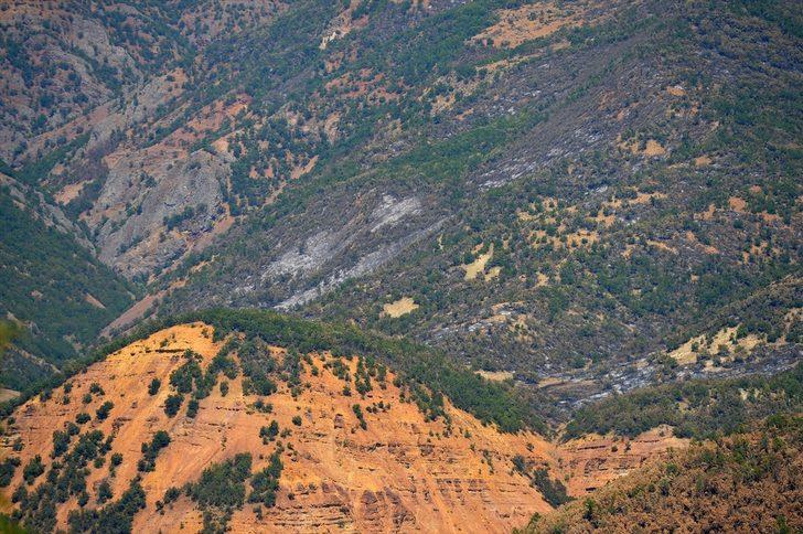 Tunceli Valisi Mehmet Ali Özkan, örtü yangınının sürdüğü bölgede incelemede bulundu: G3