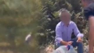 İstanbul'da eşeğe cinsel istismar iddiası! Vatandaşlar darp etti