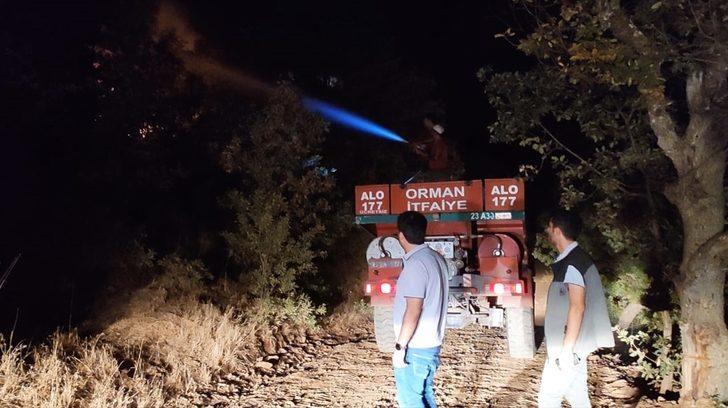 Bingöl'deki orman yangınının bir bölümü söndürüldü G1