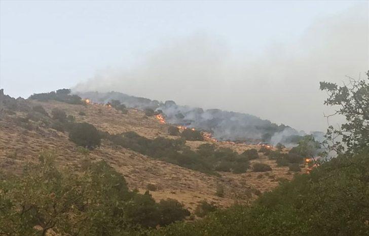 Bingöl'deki orman yangınının bir bölümü söndürüldü G2