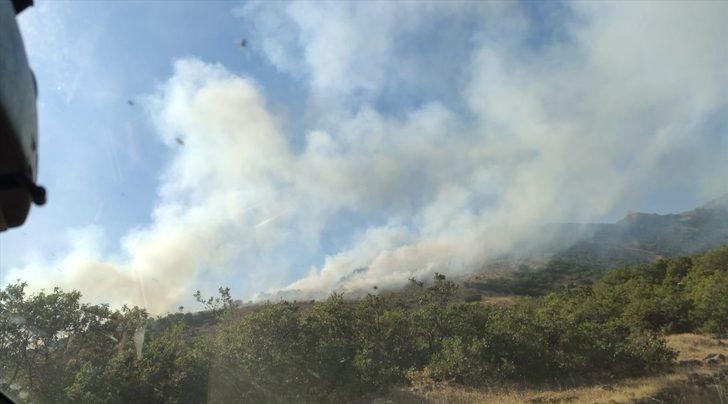 Bingöl'deki orman yangınının bir bölümü söndürüldü G3