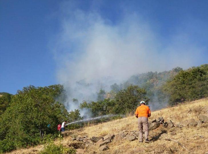 Bingöl'deki orman yangınının bir bölümü söndürüldü G4
