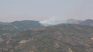 Tunceli'deki yangınlarda son durum!