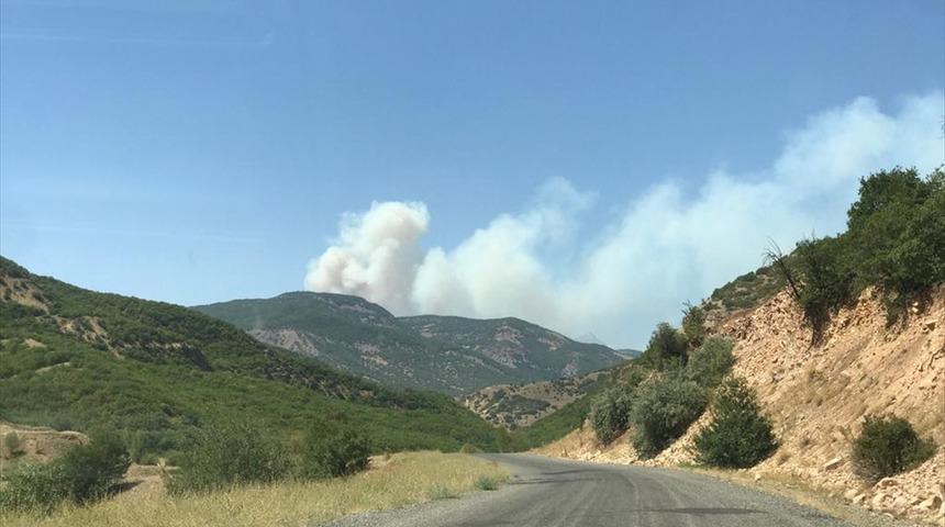 Bingöl'deki orman yangınına müdahale sürüyor