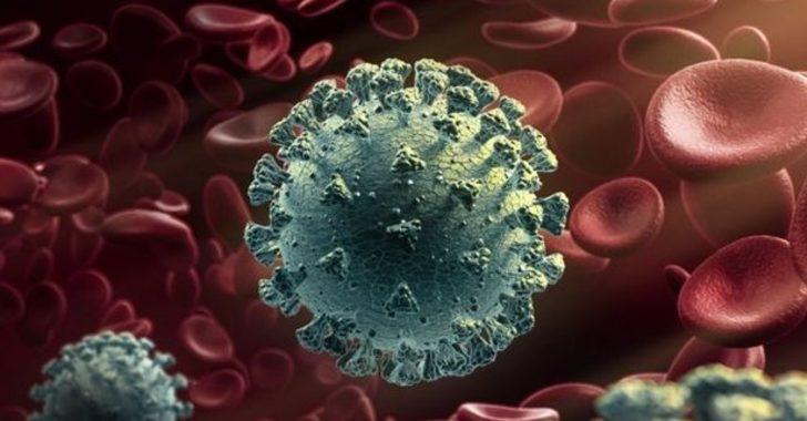 C.1.2 varyantı nedir, öldürür mü? Koronavirüs C.1.2 varyantı belirtileri neler ve Türkiye'de var mı? G3