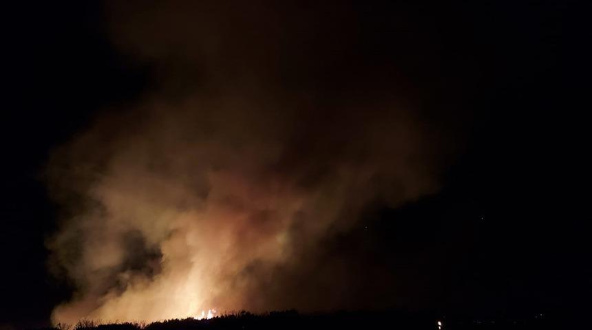 Manisa'da çıkan orman yangını kısmen kontrol altına alındı