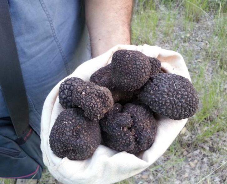 Bacasız fabrika! Kilsou 18 bin lira G5