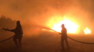 Manisa'daki orman yangını söndürüldü