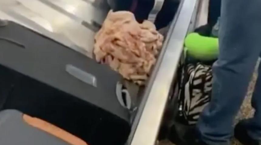 Mide bulandıran manzara! ABD'de havaalanı bagaj bandındaki çiğ tavuk görüntüsü dehşete düşürdü