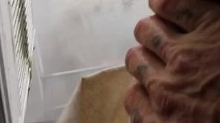 Ida Kasırgası'nın şiddetini saniye saniye görüntüledi: Video çekmeyi bırak