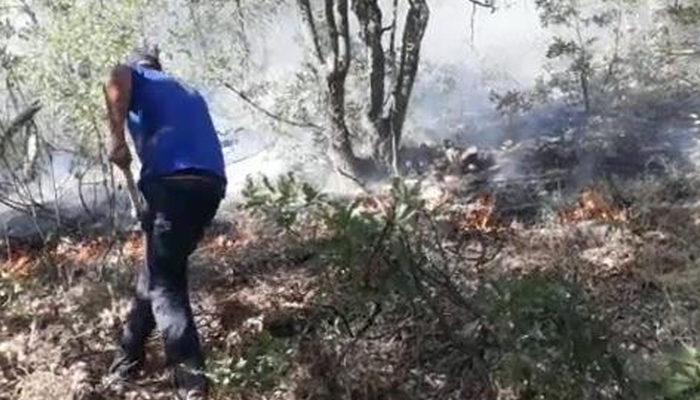 Tunceli ve Bingöl'deki orman yangınlarında son durum