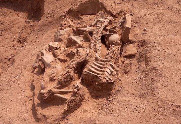 Urartuların ölü gömme geleneğine ışık tutacak keşif! Parçalara ayrılmış atlar ve köpek başı bulundu G4
