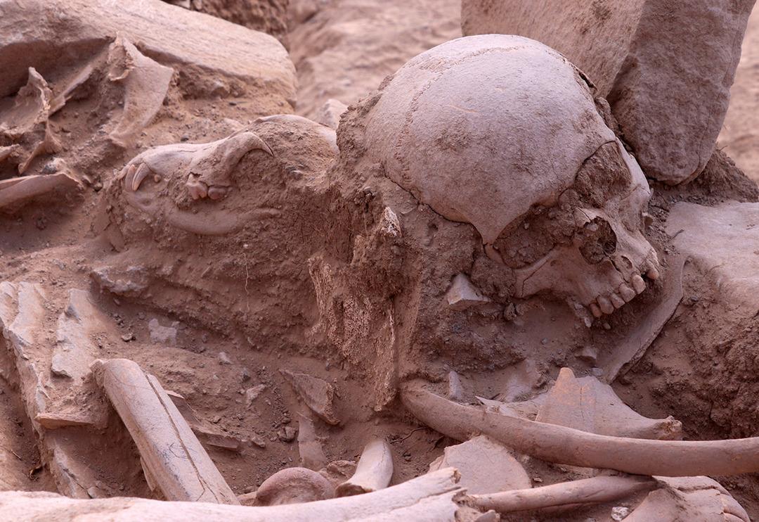 Urartuların &ouml;l&uuml; g&ouml;mme geleneğine ışık tutacak keşif! Par&ccedil;alara ayrılmış atlar ve k&ouml;pek başı bulundu