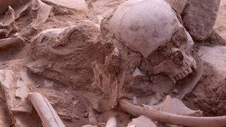 Urartuların ölü gömme geleneğine ışık tutacak keşif! Parçalara ayrılmış atlar ve köpek başı bulundu