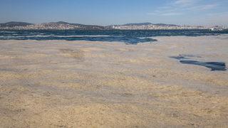 Şaşırtan gelişme! Müsilajdan üretiyorlar