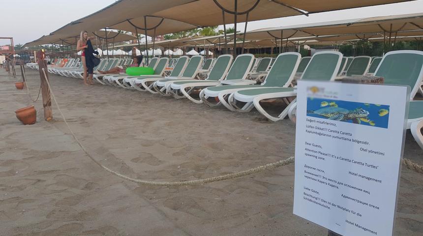 Onlarca caretta carettanın öldüğü '5 yıldızlı katliam'da yeni gelişme! Otelin inadı sürüyor