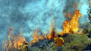 Orman Bilim Kurulu! İlk kez toplandı