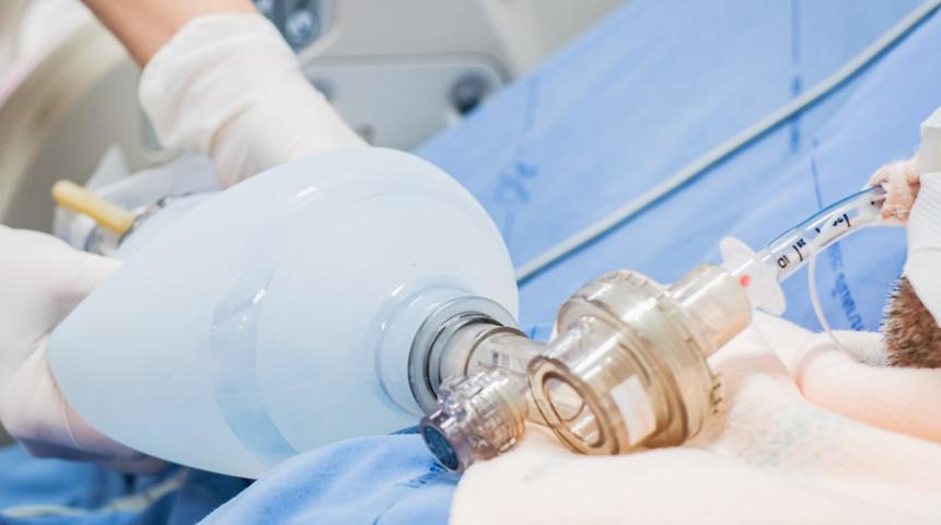 ABD'li hemşire yoğun bakımdaki koronavirüs gerçeğini böyle anlattı: Yaşayan ölüler