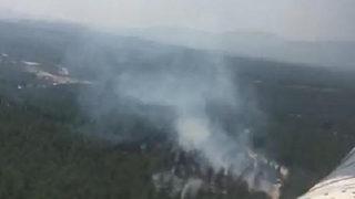 Son Dakika: Manisa Akhisar'da orman yangını