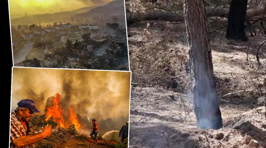 Manavgat'taki yangının &uuml;zerinden 25 g&uuml;n ge&ccedil;ti, halen duman t&uuml;t&uuml;yor