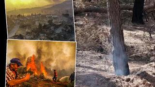 Manavgat'taki yangının üzerinden 25 gün geçti, halen duman tütüyor