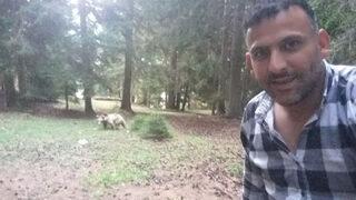 Taksi şoförünün ayı ile özçekimi sosyal medyayı salladı