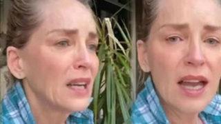 Dua edin yazmıştı: Sharon Stone’un 11 aylık yeğeni yaşamını yitirdi