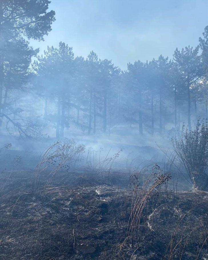 Adana'da orman yangını kontrol altına alındı G2