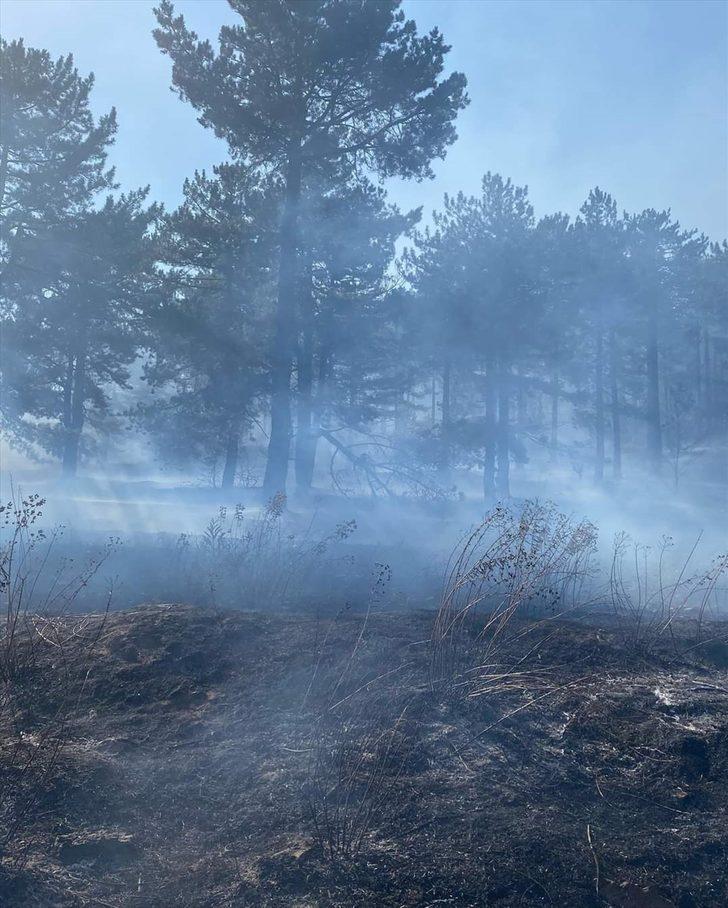 Adana'da orman yangını kontrol altına alındı G3