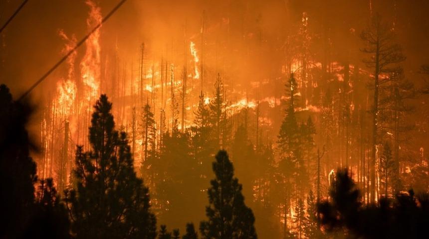 Caldor Yangını: California'da on binlerce kişi evlerinden tahliye edildi