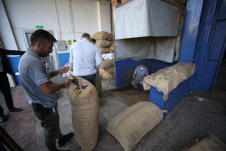 Fındık ihracatçısı yeni sezondan umutlu G1